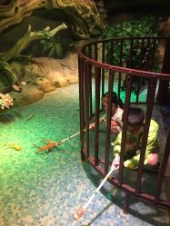 -酷嗒动物文化乐园(cutezoo西溪乐天城店)