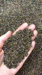 -孩子王童乐园(西安盛龙店)