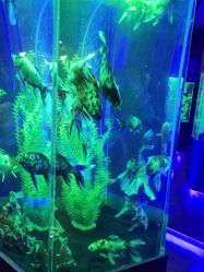 -未来动物城主题公园(正弘城店)