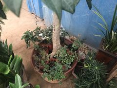 -李先生(邢台国际新城店)