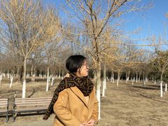 -黄村公园
