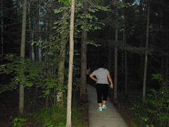 -峡谷浮石林景区