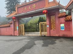 -三水森林公园