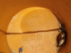 -北海金海湾红树林生态旅游区