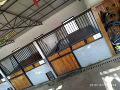 -大连凯洋马术俱乐部有限公司