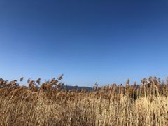 -良渚古城遗址公园