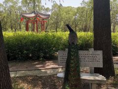 -北京麋鹿生态实验中心