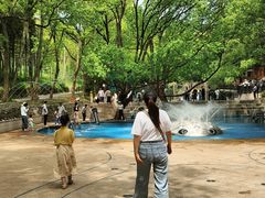 -东明山森林公园