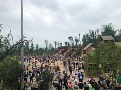 -枫香湖儿童公园