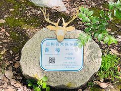-上海兴国宾馆香樟园西餐厅