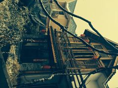 慢丽江庭院休闲餐厅(付家庄店)-慢丽江·云南野生菌土鸡锅(付家庄店)