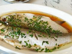 -蟹天蟹地农家菜·阳澄湖大闸蟹(浅水湾店)