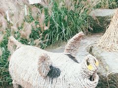 -壹华里市集