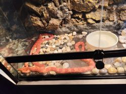 -未来动物城主题公园(正弘城店)