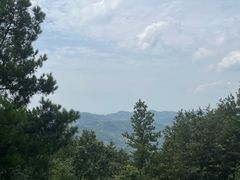 -长沙黑麋峰国家森林公园