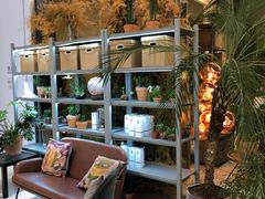 -PlantsEatery·植物食堂(REX春熙店)