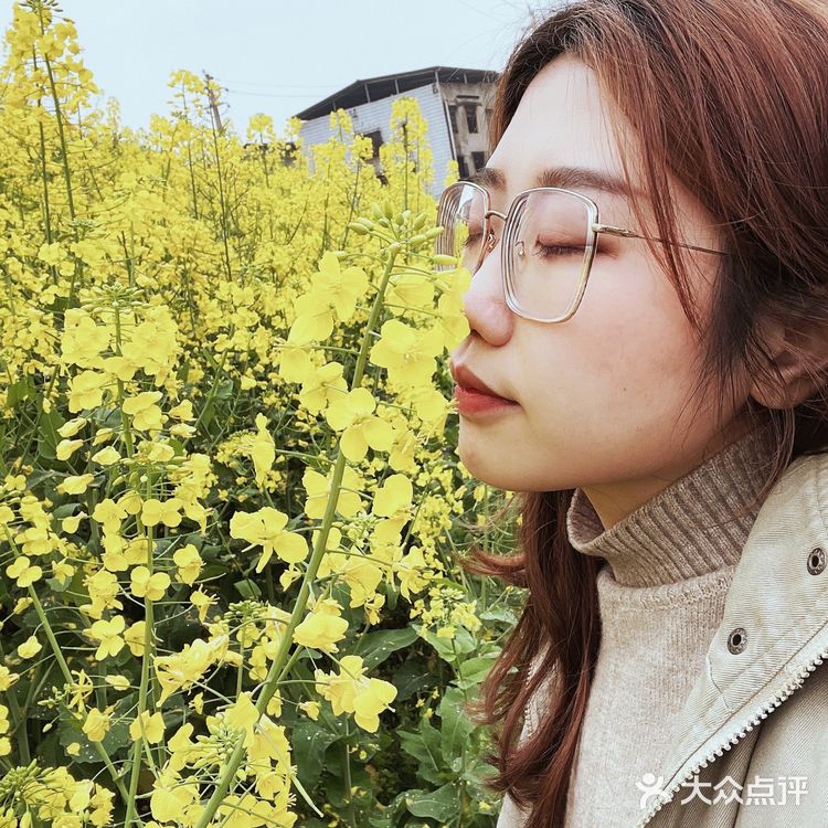 看油菜花?重庆复盛欢迎你(怀念篇)