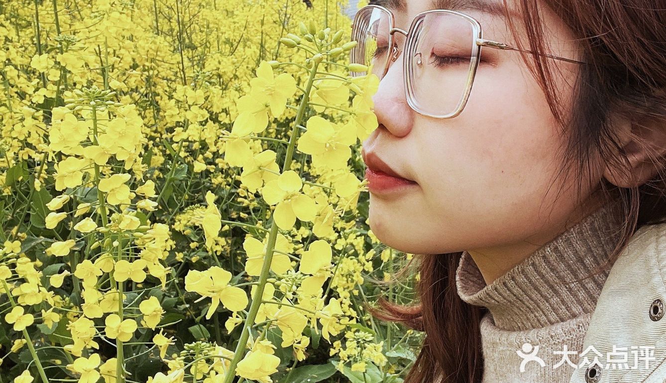 看油菜花？重庆复盛欢迎你（怀念篇）