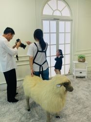 -韩国童感TOUCH PHOTO儿童摄影(朝阳分店)