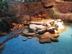 -多彩贵州城极地海洋世界