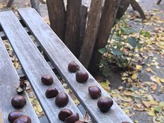 -秋栗香(地安门店)