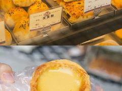 -達揚原味燉品(文明路店)