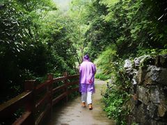 -罗田天堂寨风景区