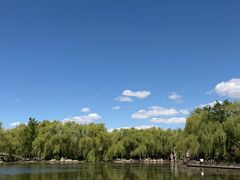 -阿尔丁植物园