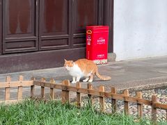 -西园戒幢律寺