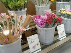 -鹿岛会员店 (龙湖三千集天街店)