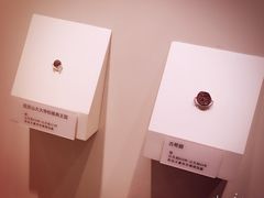 -西安大唐西市博物馆