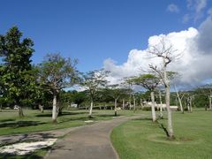 -美国纪念公园