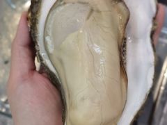 -一蚝一贝海鲜特色餐厅(万象城店)
