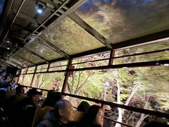 -岚山嵯峨野观光小火车