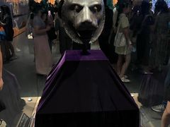 -广西壮族自治区博物馆