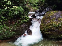 -瓦屋山景区