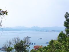 -东山码头