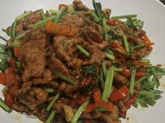 -纳瓦新疆菜(银都店)