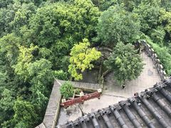 -青城山