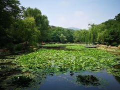 -棒棰岛宾馆景区