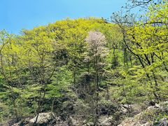 -大连天门山国家森林公园