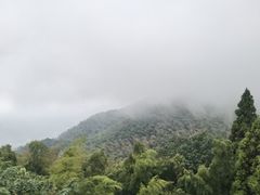 -长沙黑麋峰国家森林公园