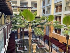 -三亚海棠湾万丽度假酒店