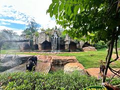 -海南热带野生动植物园