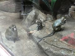 -皇家极地海洋世界-售票处