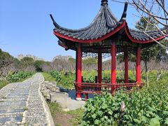 -南汇桃花村