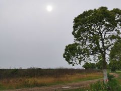 -上海都市菜园