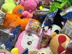 -蓝旗儿童游泳俱乐部(北国中心)