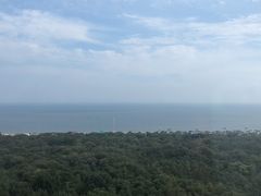 -海之味海鲜大咖·家常菜