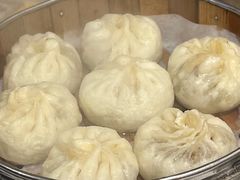 -费明中罗非鱼(大石坝店)